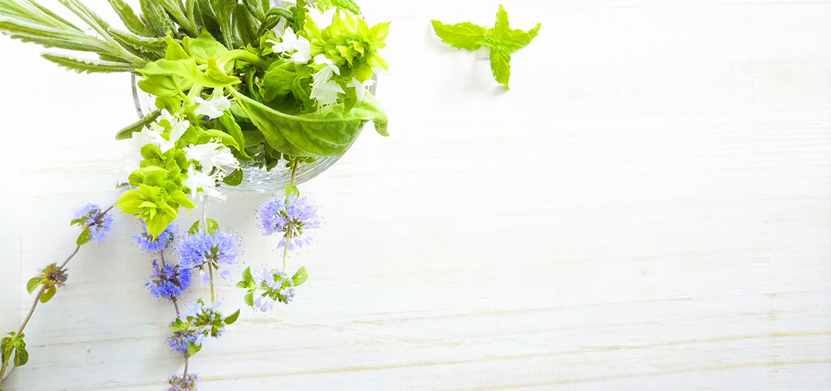 川口市並木 西川口駅 整形外科 リハビリテーション科